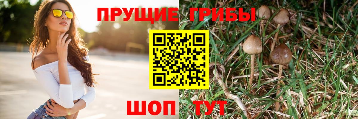 Псилоцибиновые грибы прущие грибы  Вход с VPN  Галлюциногенные грибы MAGIC MUSHROOMS  Алексеевка 