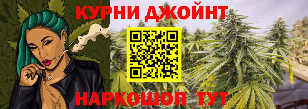 Конопля конопля Алексеевка